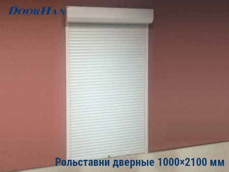 Рольставни на двери 1000×2100 мм в Краснодаре от 28106 руб.